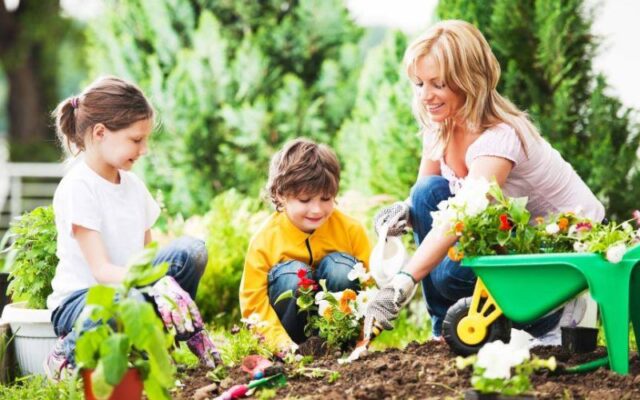 Một số hoạt động thú vị cho trẻ nhỏ