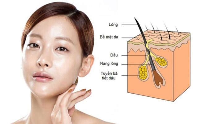 Phơi bày bí mật của da dầu