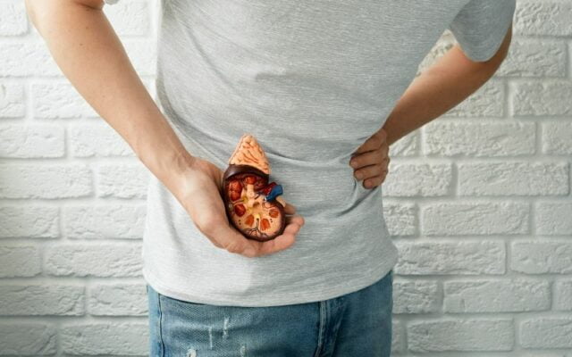 Bị sỏi thận: Uống nhiều nước có hiệu quả?